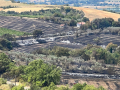 incendio-guardea244534343