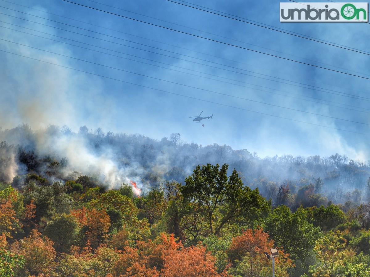 Incendio-boschivo-Lattanzi-2-settembre-Papignomk