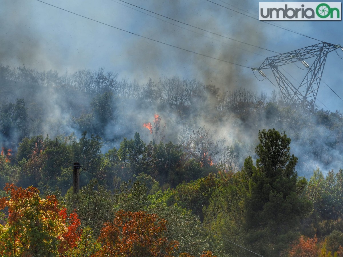 Incendio-boschivo-Lattanzi-2-settembre-Papignosd23