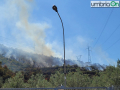 Incendio-Boschivo-Papigno-Monte-Argento-56565dfd