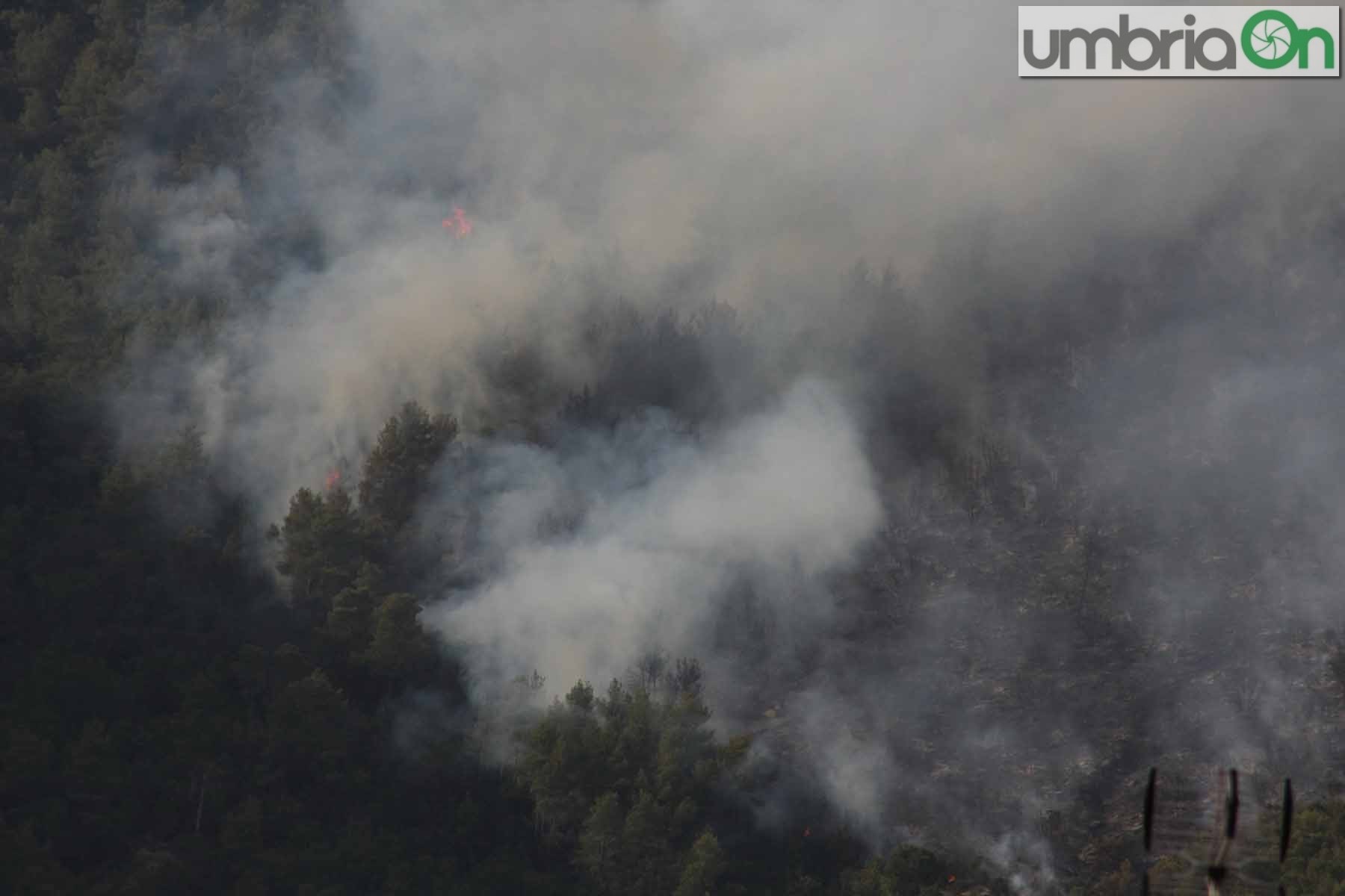 incendio rocca san zenone terni_6479-A.Mirimao