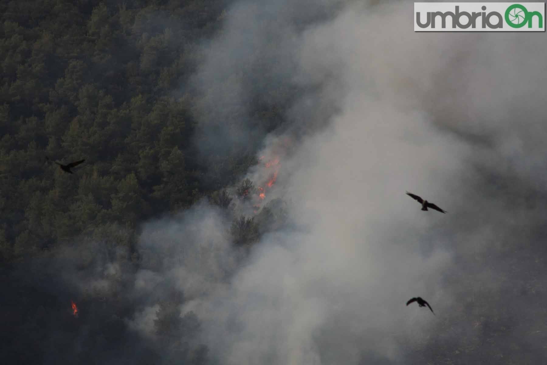 incendio rocca san zenone terni_6499-A.Mirimao