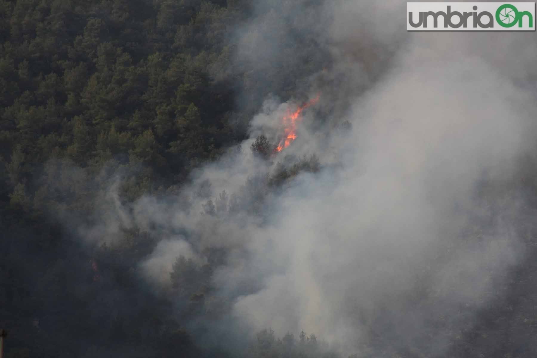 incendio rocca san zenone terni_6503-A.Mirimao