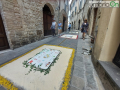 infiorata San Gemini 2023 (11)