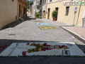 infiorata San Gemini 2023 (19)