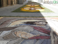 infiorata San Gemini 2023 (21)