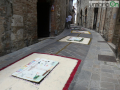 infiorata San Gemini 2023 (25)