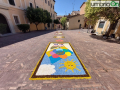 infiorata sangeminese fiori 202220220619_142145