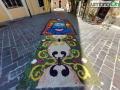 infiorata sangeminese fiori 202220220619_142301