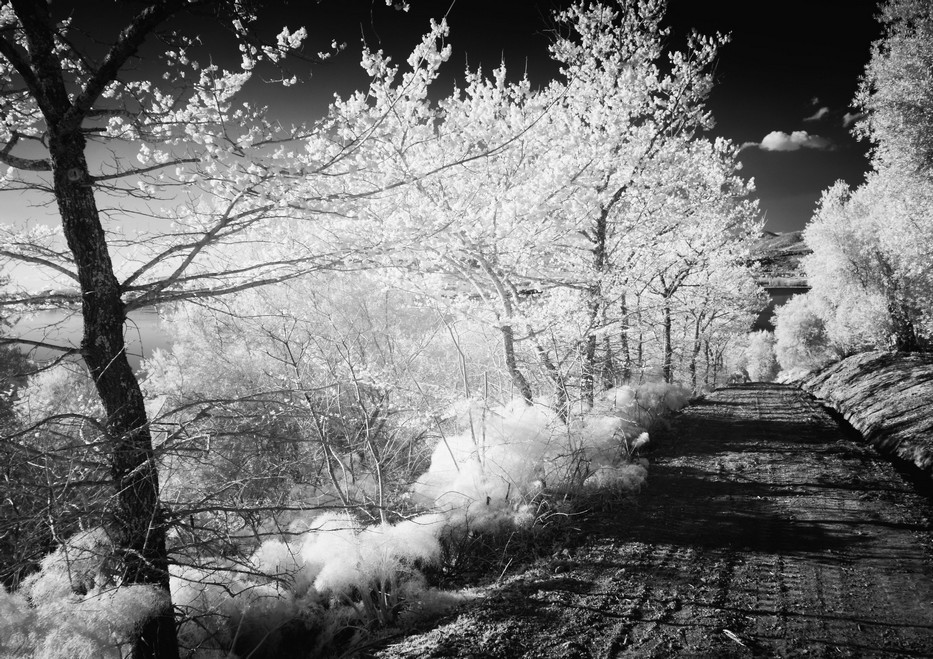 jean wilmotte, isola maggiore, lago trasimeno, foto, bianco e nero, infrarossi