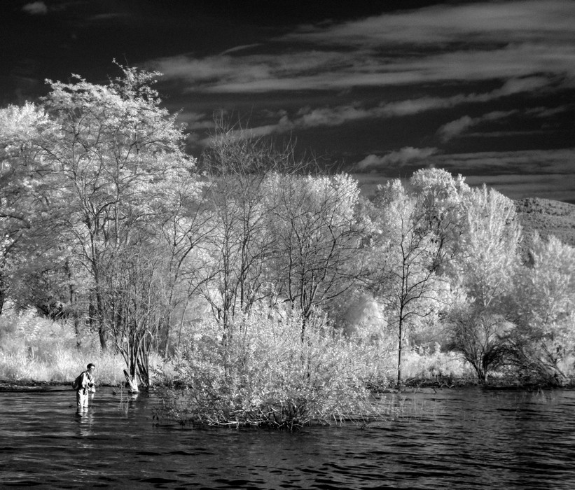 jean wilmotte, isola maggiore, lago trasimeno, foto, bianco e nero, infrarossi