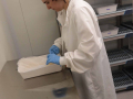 laboratorio malaria_2564- A.Mirimao zanzare
