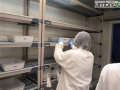 laboratorio malaria_2566- A.Mirimao zanzare
