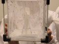 laboratorio malaria_2584- A.Mirimao zanzare