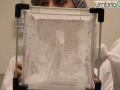 laboratorio malaria_2588- A.Mirimao zanzare