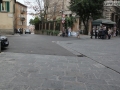 Piazza Cavallotti - da marchiare