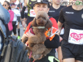 Maratona San Valentino 2024 partenza (19)