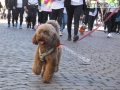 Maratona San Valentino 2024 partenza (35)
