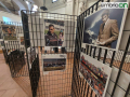 Mezzo-secolo-rossoverde-mostra-fotografica-Enrico-Valentini-3