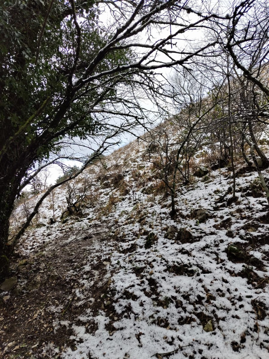 Monte Subasio, foto Nicolò Posta - 19 gennaio 2023 (10)