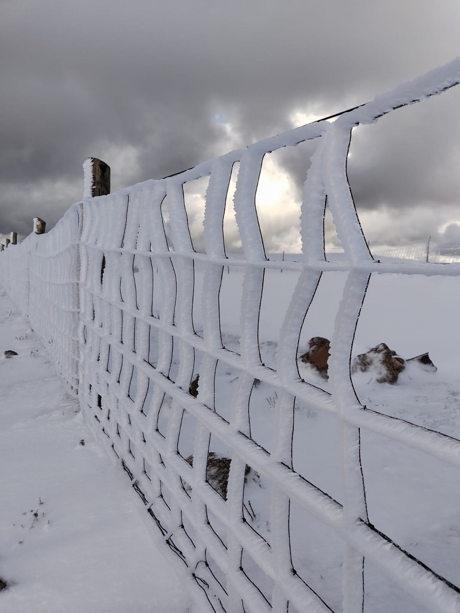 Monte Subasio, foto Nicolò Posta - 19 gennaio 2023 (15)