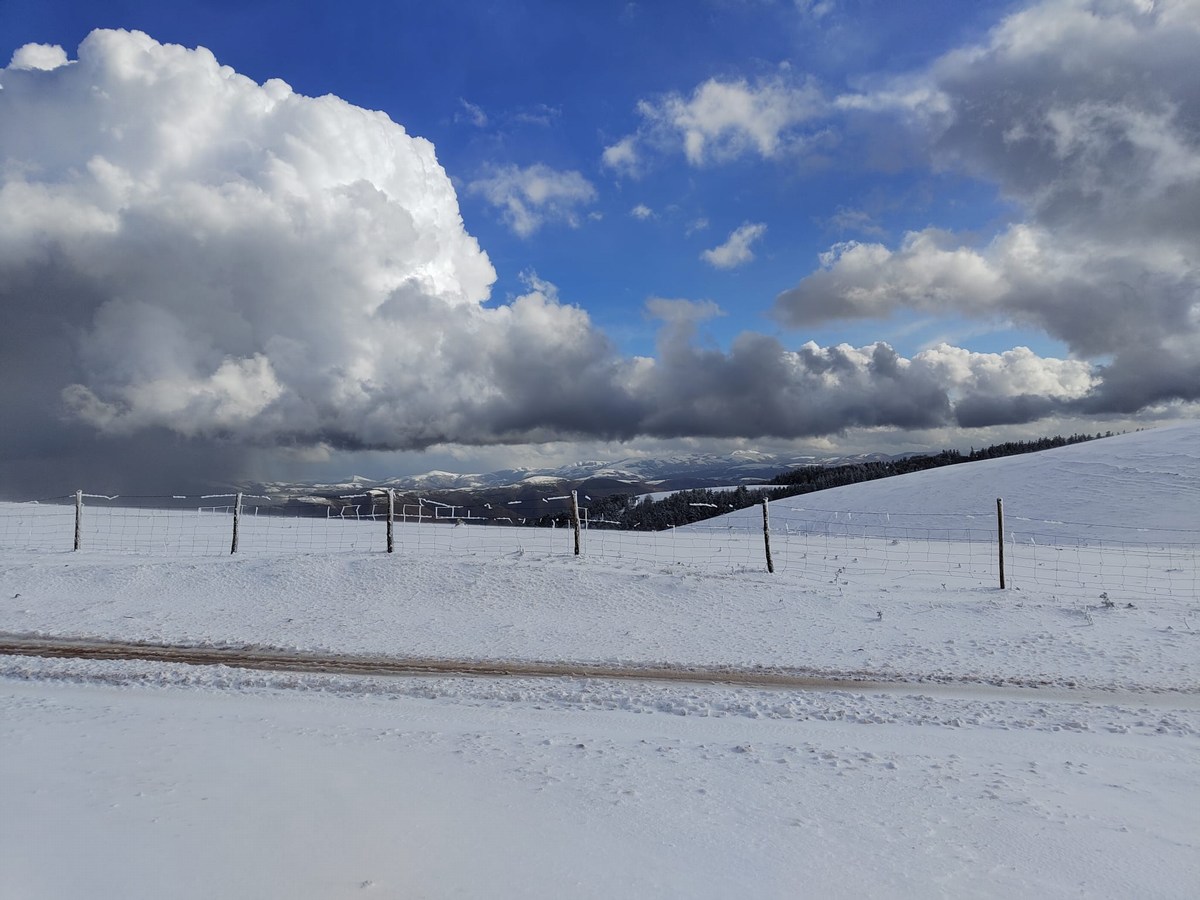 Monte Subasio, foto Nicolò Posta - 19 gennaio 2023 (17)