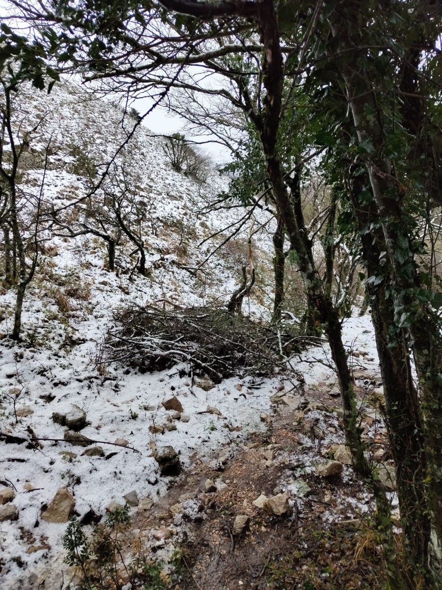 Monte Subasio, foto Nicolò Posta - 19 gennaio 2023 (2)