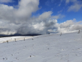 Monte Subasio, foto Nicolò Posta - 19 gennaio 2023 (12)