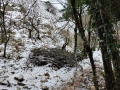 Monte Subasio, foto Nicolò Posta - 19 gennaio 2023 (2)