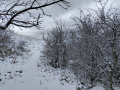 Monte Subasio, foto Nicolò Posta - 19 gennaio 2023 (3)