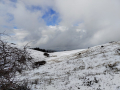 Monte Subasio, foto Nicolò Posta - 19 gennaio 2023 (4)