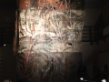 tra-cane-e-lupo-mostra-caos-mirimao-18
