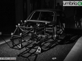 tra-cane-e-lupo-mostra-caos-mirimao-5