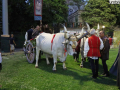 Narni corsa anello rivincita (Mirimao) (12)