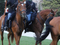 Narni corsa anello rivincita (Mirimao) (4)