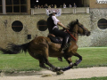 Narni corsa anello rivincita (Mirimao) (48)