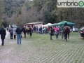 Narni Gole del Nera (Mirimao) (1)