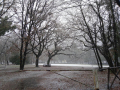 Neve ai Campacci (foto Sandro Piccinini)