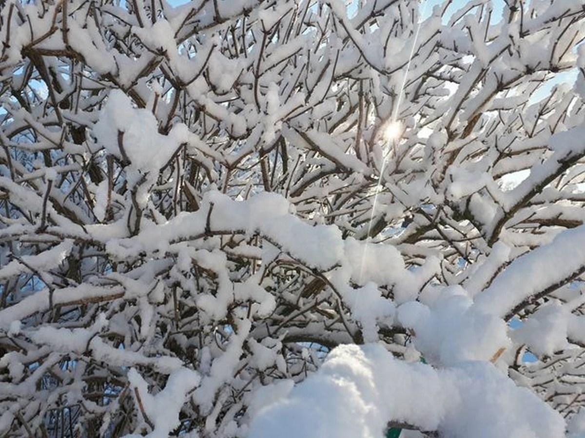 Foto Melissa Rosati Pian di Chiavano (Cascia) neve - gennaio 2021 (10)