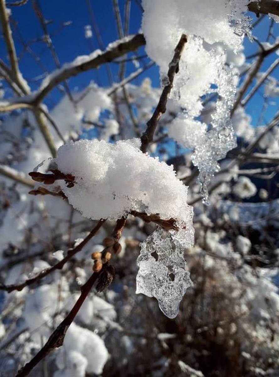 Foto Melissa Rosati Pian di Chiavano (Cascia) neve - gennaio 2021 (13)