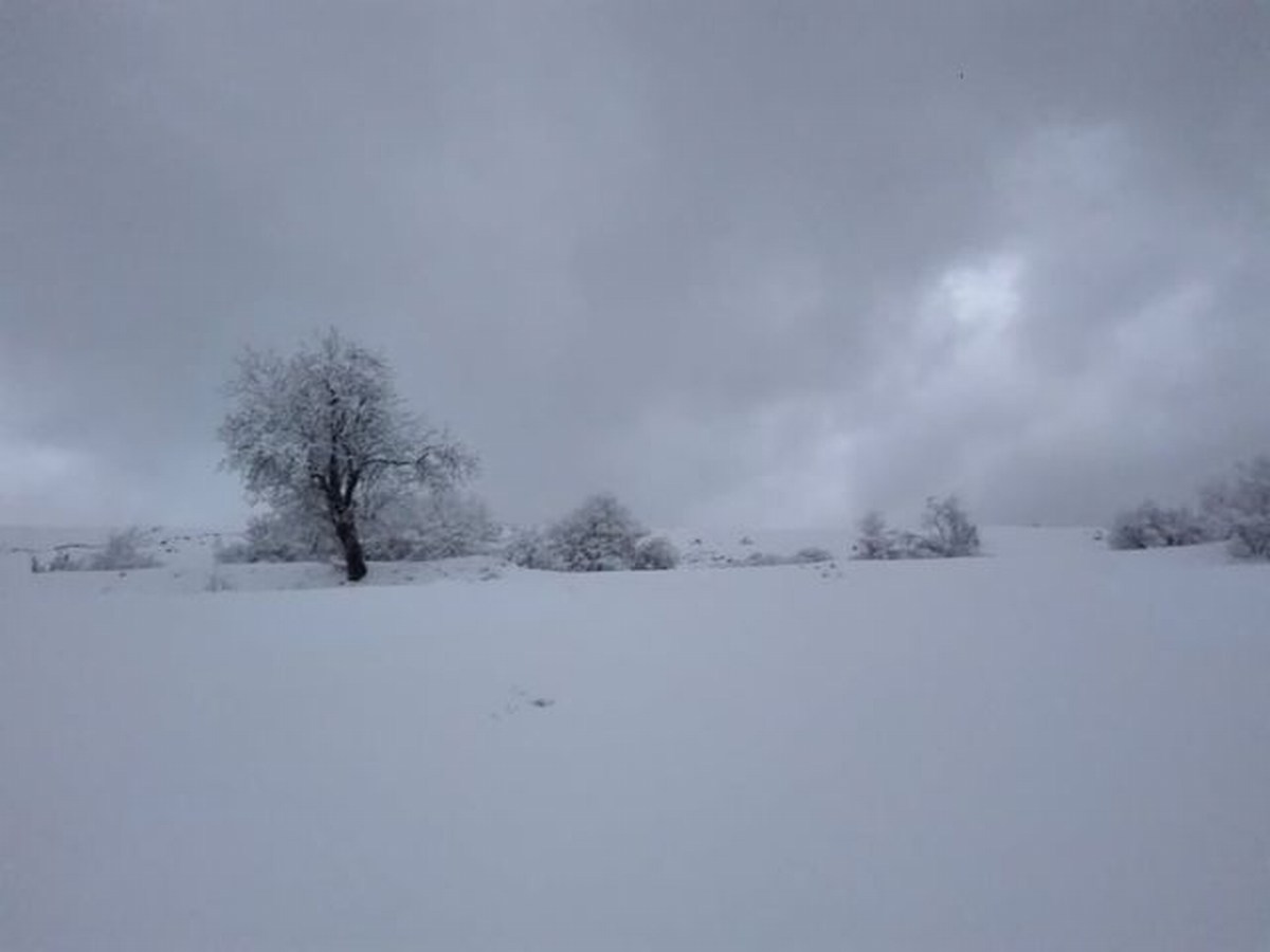 Foto Melissa Rosati Pian di Chiavano (Cascia) neve - gennaio 2021 (4)