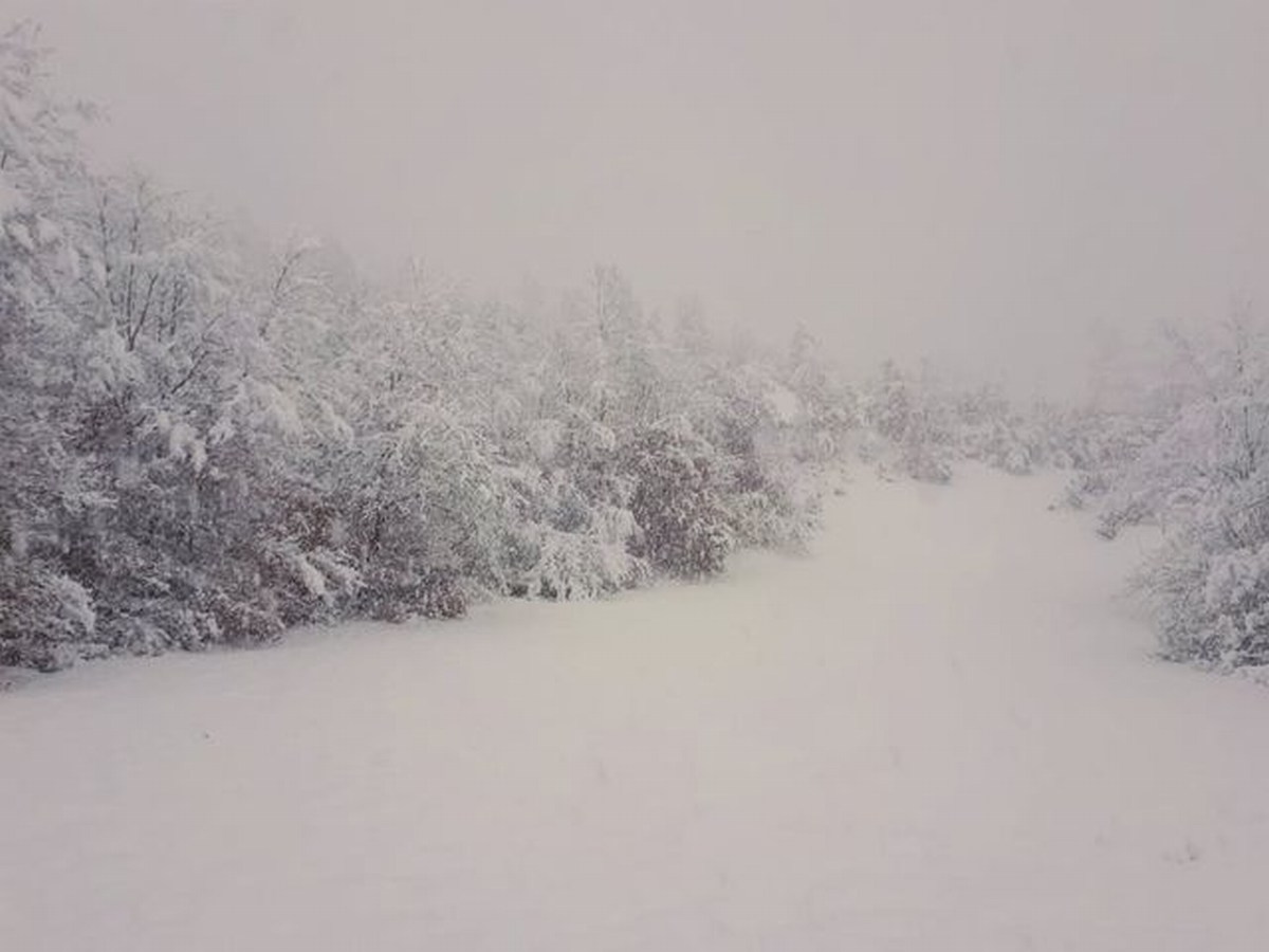 Foto Melissa Rosati Pian di Chiavano (Cascia) neve - gennaio 2021 (5)