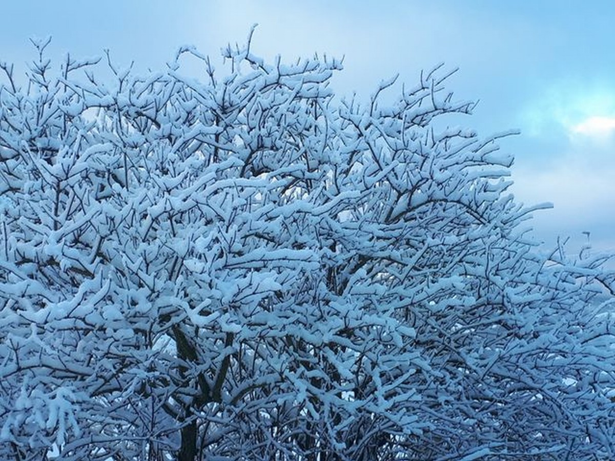 Foto Melissa Rosati Pian di Chiavano (Cascia) neve - gennaio 2021 (7)