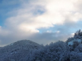 Foto Melissa Rosati Pian di Chiavano (Cascia) neve - gennaio 2021 (8)