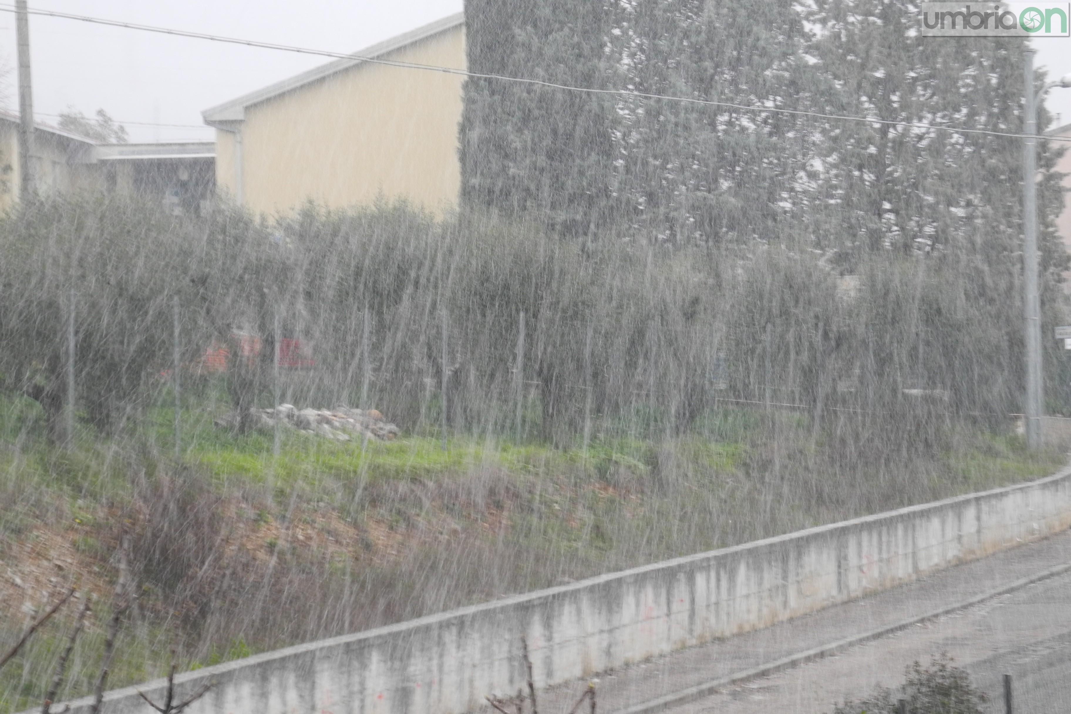 Terni neve (5)