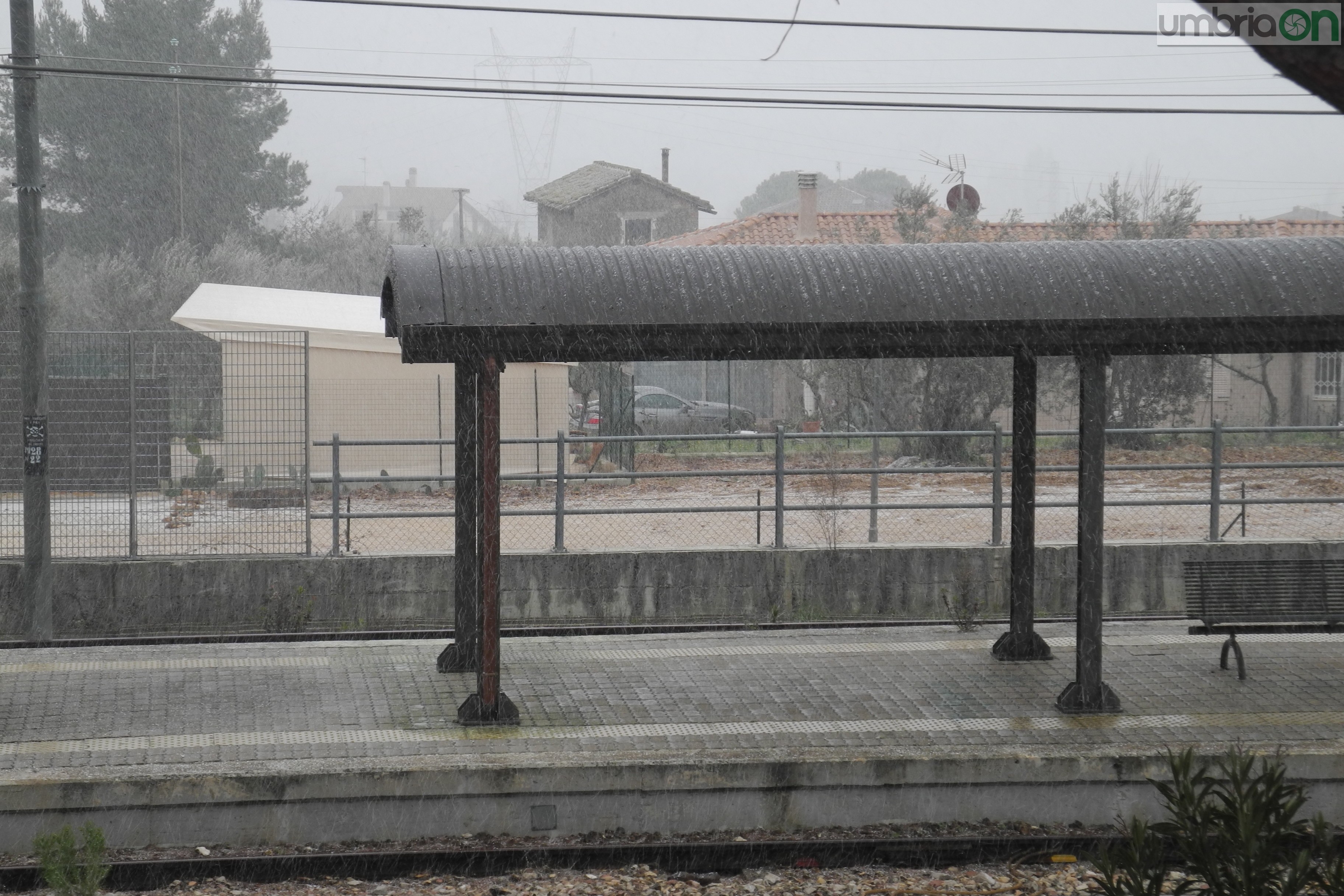 Terni neve (7)