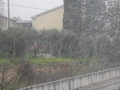 Terni neve (2)