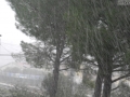 Terni neve (4)