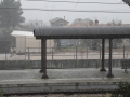 Terni neve (7)