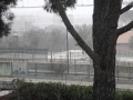 Terni neve (8)